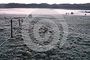 Cold fog and frost on the Cansiglio plateau in the middle of autumn