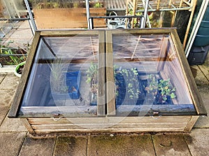 Cold frame