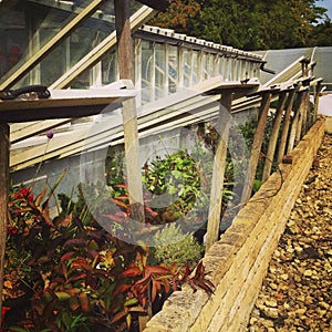 Cold frames