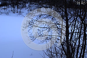 Cold frozen river landscape with barren tree in the arctic circle