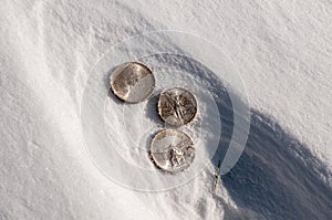 Cold hard cash - silver coins in snow