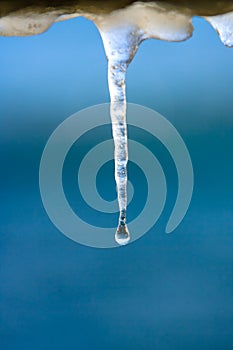 Cold icicle of winter sea