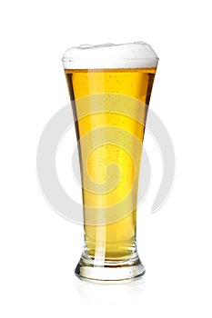 Cold lager beer in glass