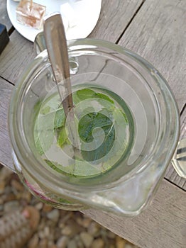 Cold lemonade with mint leaves in glass
