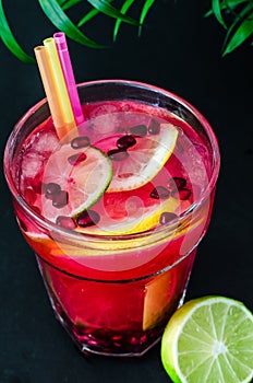 Cold limonade with garnet seeds and slices of citruses