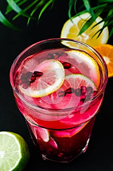 Cold limonade with garnet seeds and slices of citruses, green palm leaves