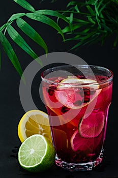 Cold limonade with garnet seeds and slices of lemon and lime