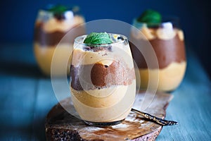 Cold Mango and chocolate pudding with mint leaves