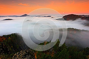 Cold misty foggy morning in a fall valley of Bohemian Switzerland park. Hills with fog, landscape of Czech Republic, National Par