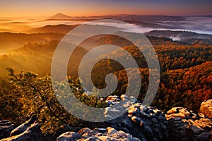 Cold misty foggy morning with sunrise in a fall valley of Bohemian Switzerland park. Hills with fog, landscape of Czech Republic,