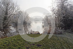 A cold, misty and frosty winter day beside the lake