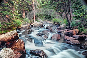 Cold Mountain Stream