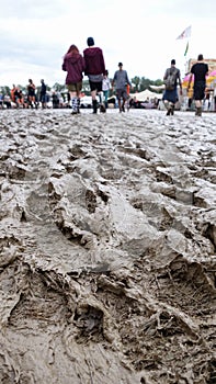 Cold muddy grass at a festival