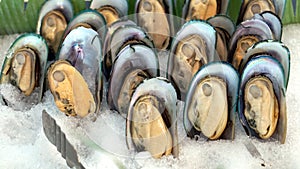 Cold new zealand mussels