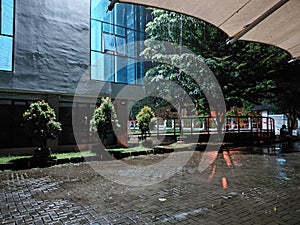 cold nights and light rain