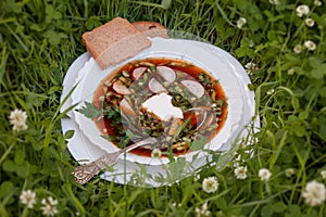 Cold okroshka soup with kvass on grass background