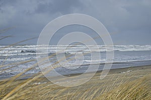 The cold oregon beach shoreline
