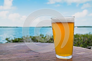 Cold pint of craft beer with a tropical background