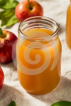 Cold Refreshing Apple Cider Juice