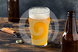 Cold Refreshing Boozy Farmhouse Ale Beer