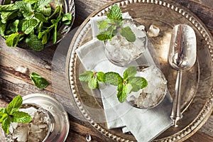 Cold Refreshing Classic Mint Julep