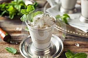 Cold Refreshing Classic Mint Julep