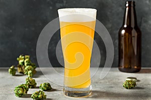 Cold Refreshing IPA Craft Beer