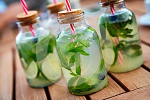 Cold refreshing limonade, mojito or gin tonic in glass, with fresh mint and ice cubes