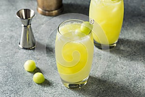 Cold Refreshing Melon Honeydew Cocktail