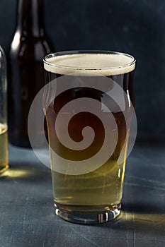 Cold Refreshing Snakebite Cider and Stout Cocktail photo