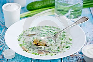 Cold refreshing soup okroshka water, kefir, fresh cucumber, dill, onion, garlic and smoked fish