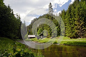 A cold river at green valley