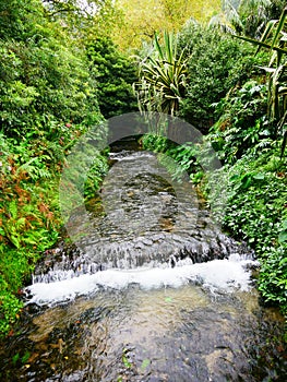 Cold river ribeira amarela in furnas town on the island of Sao Miguel in the Azores photo