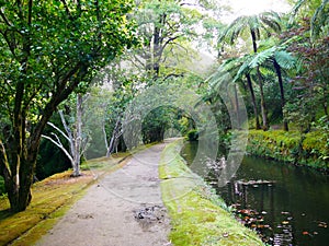Cold river ribeira Amarela in the Terra Nostra exotic garden in Furnas on the island of Sao Miguel in the Azores photo