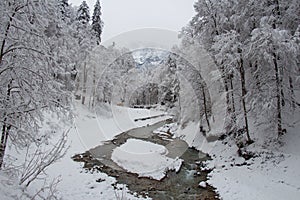 Cold river between trees near Partnach Gorge in winter time. Garmisch-Partenkirchen. Germany.