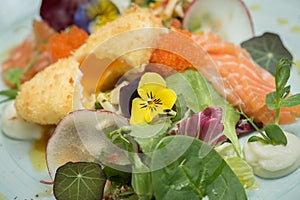 Cold salad with salmon and red roe, green leaves and edible flow