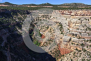 Cold Shivers Point in the Colorado National Monument