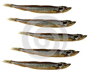 Cold smoked capelin fish, appetizer, on white background isolated