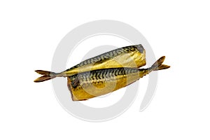 Cold-smoked mackerel fish without a head.