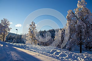 a cold and snowing winterday in norway