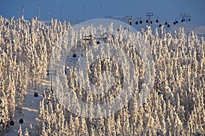 Cold and snowy day in lapland