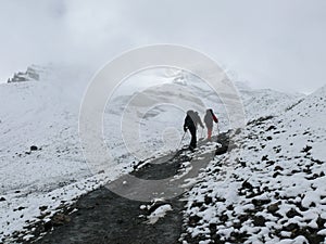 Cold snowy weather on way to Thorong La Pass, Nepal