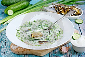 Cold soup from smoked fish