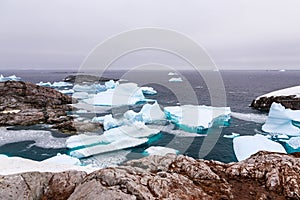 Cold still waters of antarctic sea lagoon with drifting blue ice