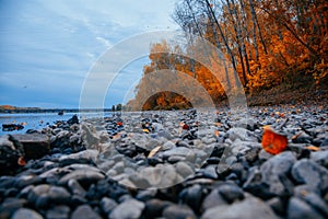 Cold stones on the river Bank close-up