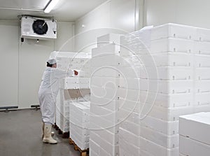 Cold storage photo