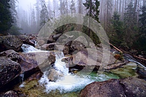 Cold stream in Great Cold Valley  in Slovakia