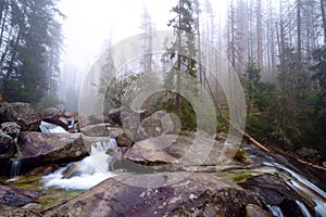 Cold stream in Great Cold Valley  in Slovakia