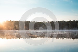 Cold summer morning in the forest with lake, forest reflection and mist