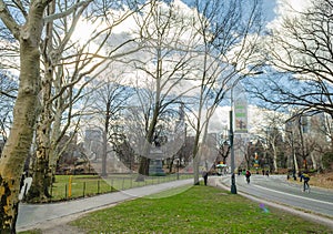 A Cold Sunny Day in Central Park. An Ordinary Walk through the Trees. Surrounded by Buildings.